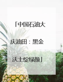 中国石油大庆油田：黑金沃土绽绿颜