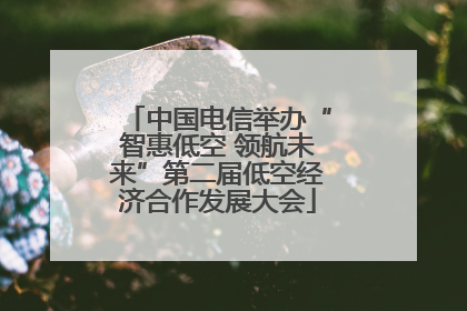 中国电信举办“智惠低空 领航未来”第二届低空经济合作发展大会