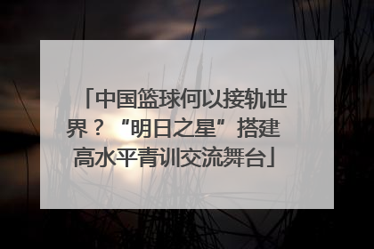 中国篮球何以接轨世界？“明日之星”搭建高水平青训交流舞台