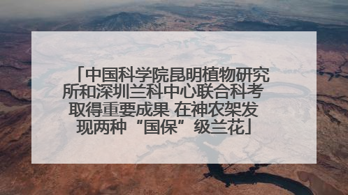 中国科学院昆明植物研究所和深圳兰科中心联合科考取得重要成果 在神农架发现两种“国保”级兰花