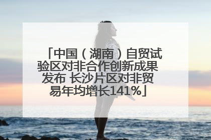 中国（湖南）自贸试验区对非合作创新成果发布 长沙片区对非贸易年均增长141%