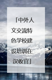 中外人文交流特色学校建设培训在汉收官