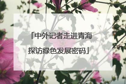 中外记者走进青海 探访绿色发展密码