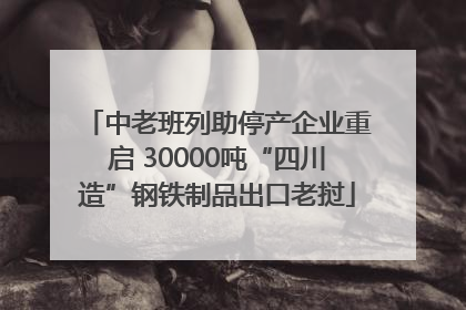 中老班列助停产企业重启 30000吨“四川造”钢铁制品出口老挝