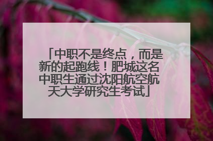 中职不是终点，而是新的起跑线！肥城这名中职生通过沈阳航空航天大学研究生考试