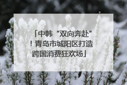 中韩“双向奔赴”！青岛市城阳区打造跨国消费狂欢场