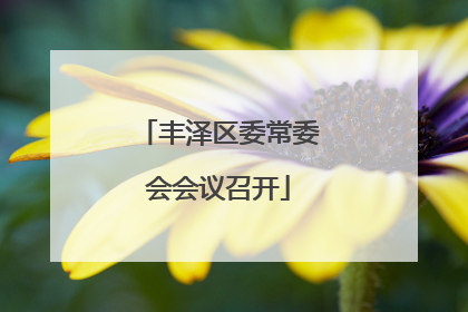 丰泽区委常委会会议召开