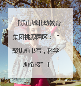 乐山城北幼教育集团桃源园区：“聚焦前书写，科学助衔接”