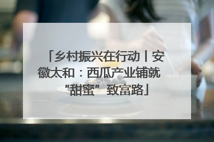 乡村振兴在行动丨安徽太和：西瓜产业铺就“甜蜜”致富路