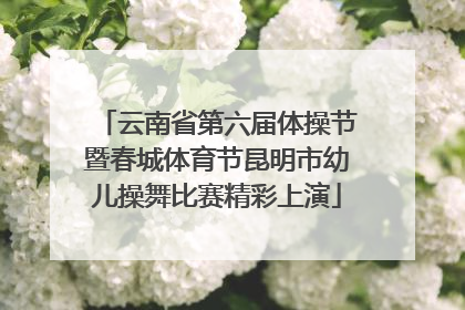 云南省第六届体操节暨春城体育节昆明市幼儿操舞比赛精彩上演