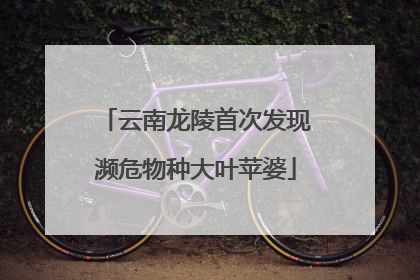 云南龙陵首次发现濒危物种大叶苹婆