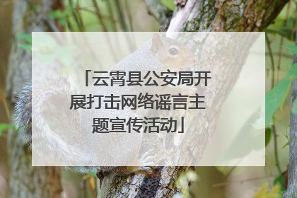 云霄县公安局开展打击网络谣言主题宣传活动