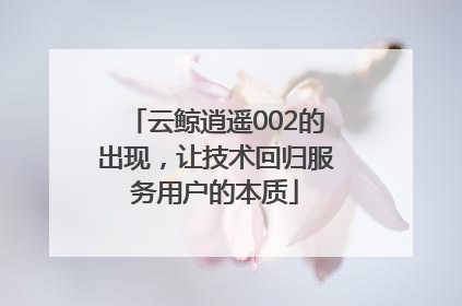 云鲸逍遥002的出现，让技术回归服务用户的本质