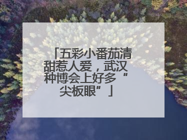 五彩小番茄清甜惹人爱，武汉种博会上好多“尖板眼”