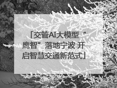 交管AI大模型“鹰智”落地宁波 开启智慧交通新范式