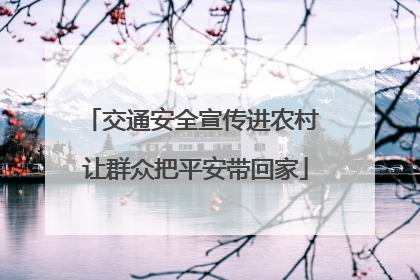 交通安全宣传进农村 让群众把平安带回家