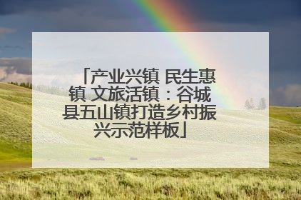 产业兴镇 民生惠镇 文旅活镇：谷城县五山镇打造乡村振兴示范样板