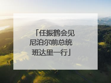 任振鹤会见尼泊尔前总统班达里一行