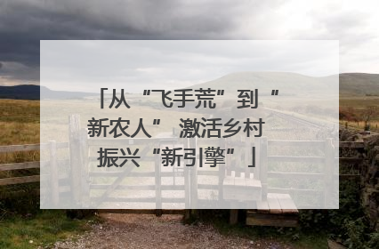 从“飞手荒”到“新农人” 激活乡村振兴“新引擎”