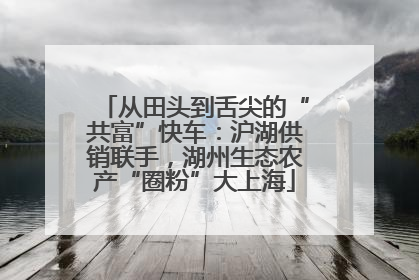 从田头到舌尖的“共富”快车：沪湖供销联手，湖州生态农产“圈粉”大上海