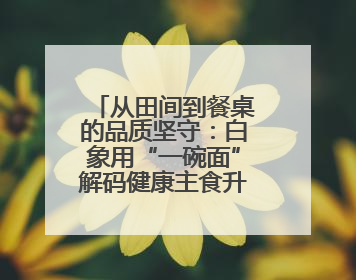 从田间到餐桌的品质坚守：白象用“一碗面”解码健康主食升级密码