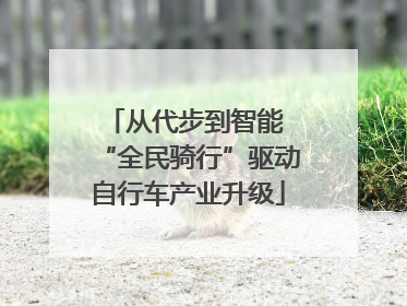 从代步到智能 “全民骑行”驱动自行车产业升级