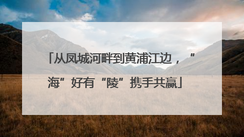 从凤城河畔到黄浦江边，“海”好有“陵”携手共赢