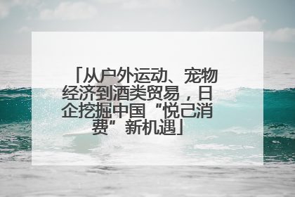 从户外运动、宠物经济到酒类贸易，日企挖掘中国“悦己消费”新机遇