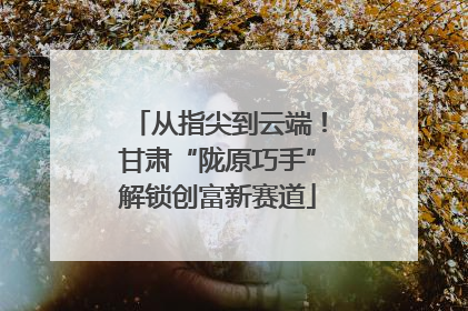 从指尖到云端！甘肃“陇原巧手”解锁创富新赛道