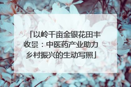 以岭千亩金银花田丰收景：中医药产业助力乡村振兴的生动写照