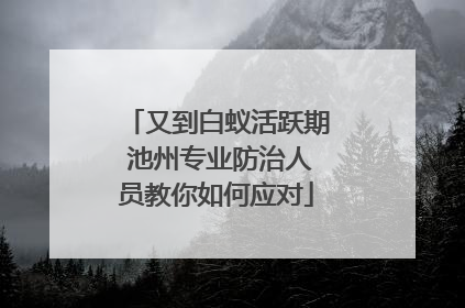 又到白蚁活跃期 池州专业防治人员教你如何应对