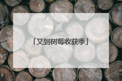 又到树莓收获季
