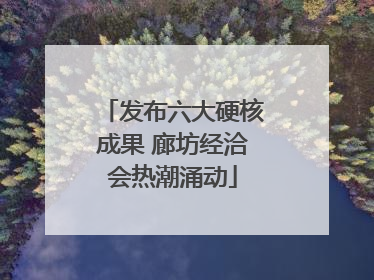 发布六大硬核成果 廊坊经洽会热潮涌动