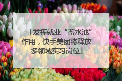 发挥就业“蓄水池”作用，快手美团将释放多领域实习岗位