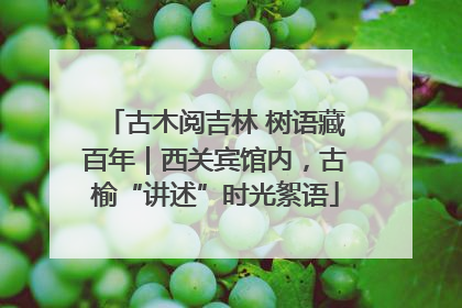 古木阅吉林 树语藏百年｜西关宾馆内，古榆“讲述”时光絮语