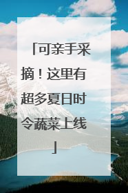 可亲手采摘！这里有超多夏日时令蔬菜上线