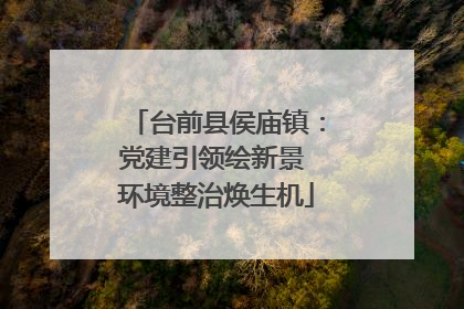 台前县侯庙镇：党建引领绘新景 环境整治焕生机