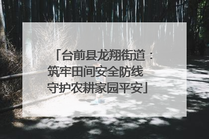 台前县龙翔街道：筑牢田间安全防线 守护农耕家园平安
