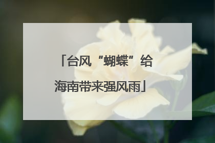 台风“蝴蝶”给海南带来强风雨