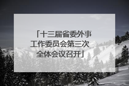 十三届省委外事工作委员会第三次全体会议召开