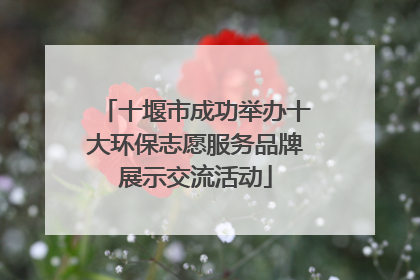 十堰市成功举办十大环保志愿服务品牌展示交流活动