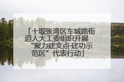 十堰张湾区车城路街道人大工委组织开展 “聚力建支点·建功示范区”代表行动