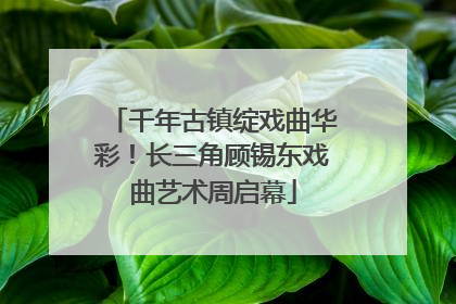 千年古镇绽戏曲华彩！长三角顾锡东戏曲艺术周启幕