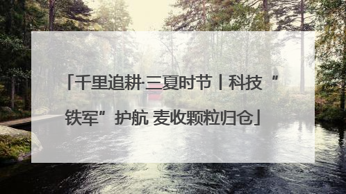 千里追耕·三夏时节丨科技“铁军”护航 麦收颗粒归仓