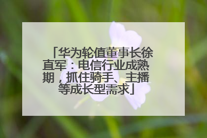 华为轮值董事长徐直军：电信行业成熟期，抓住骑手、主播等成长型需求
