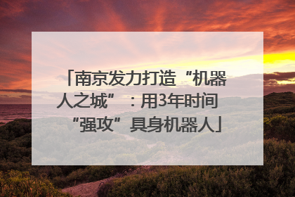 南京发力打造“机器人之城”：用3年时间“强攻”具身机器人