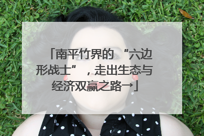 南平竹界的 “六边形战士”，走出生态与经济双赢之路→