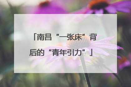 南昌“一张床”背后的“青年引力”