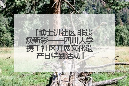博士进社区 非遗焕新彩——四川大学携手社区开展文化遗产日特别活动