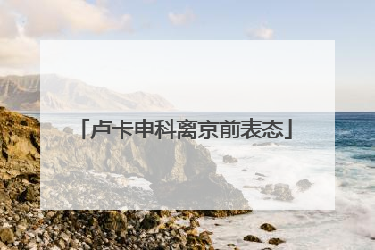 卢卡申科离京前表态